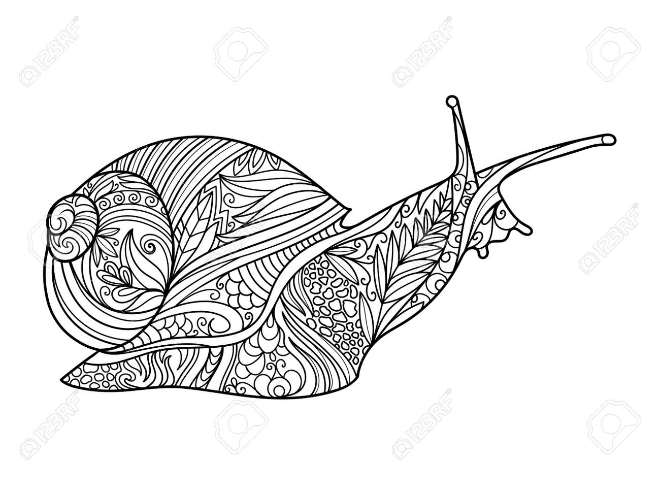 Snail coloring book for adults vector illustration royalty free svg cliparts vectors and stock illustration image