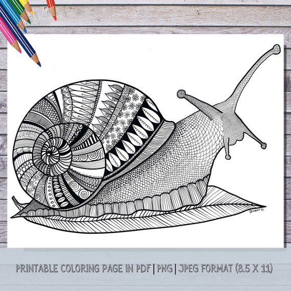 Snail coloring page hand illustrated instant download print color at home zentangle art