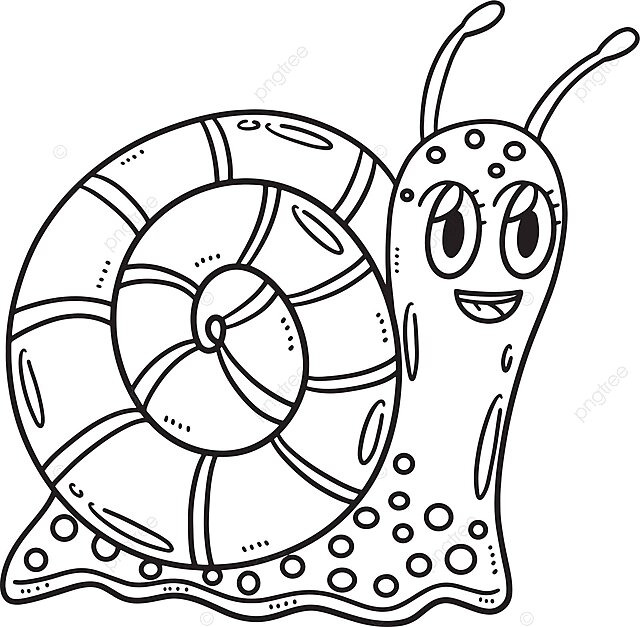 Mother snail isolated coloring page for kids mother snail design color vector mother snail design color png and vector with transparent background for free download