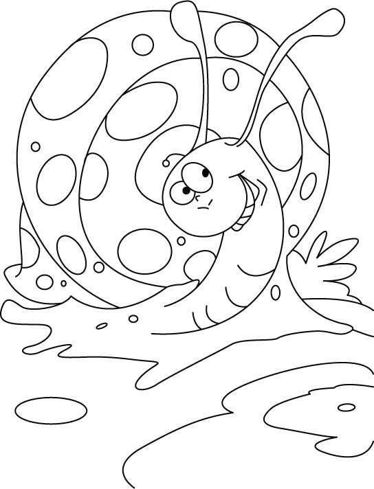High spirited snail coloring pages download free high spirited snail coloring pages for kids best coloring pages