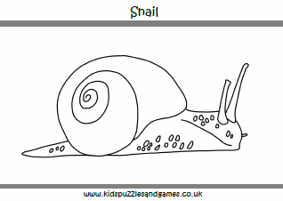 Snail louring sheet