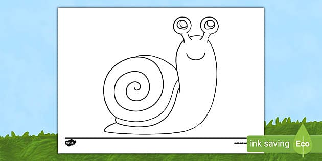 Snail template louring sheet teacher made