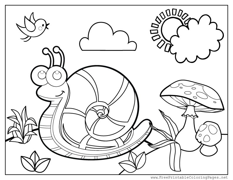 Picture books about snails