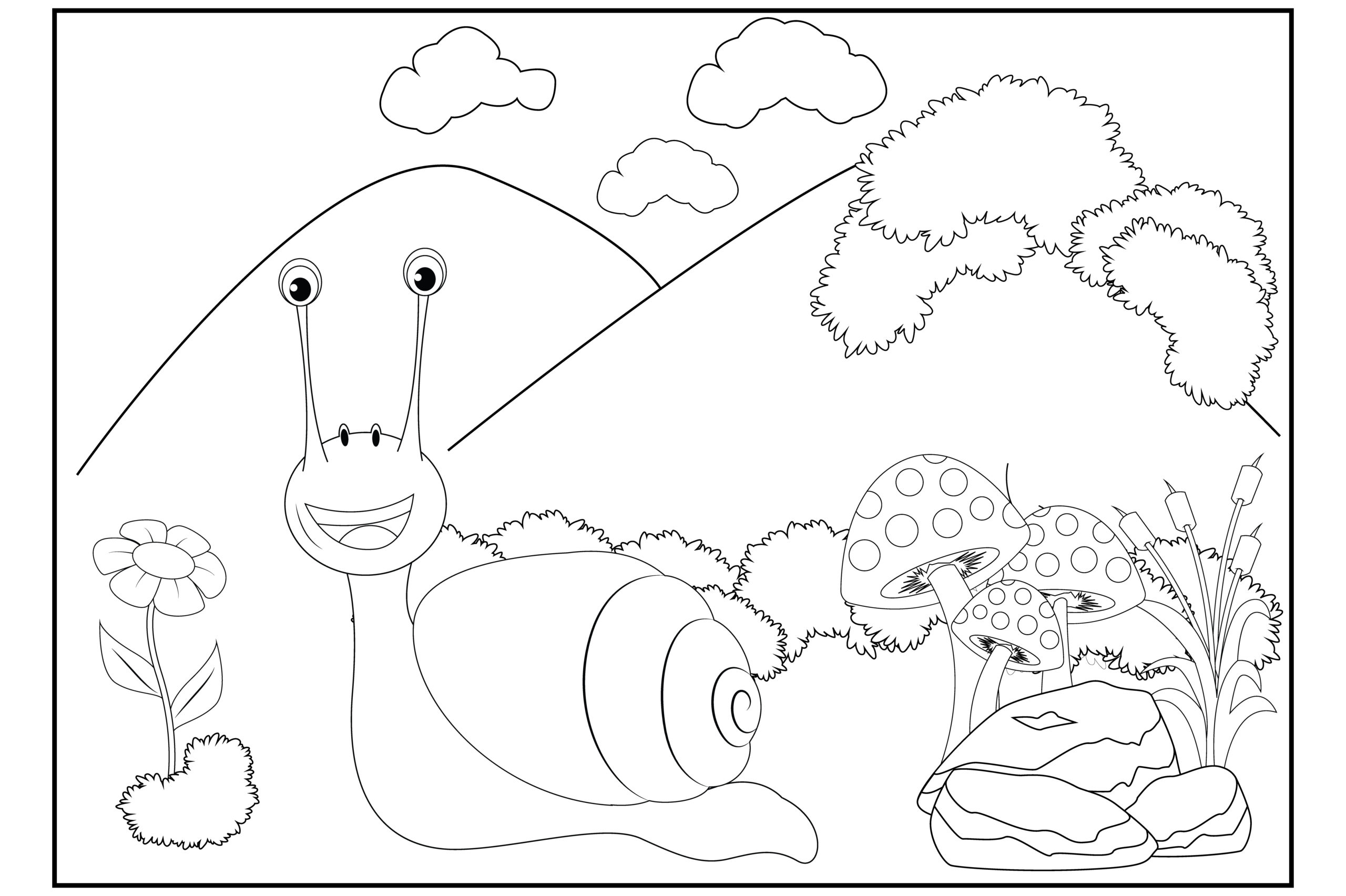Coloring pages for kids with cute snail