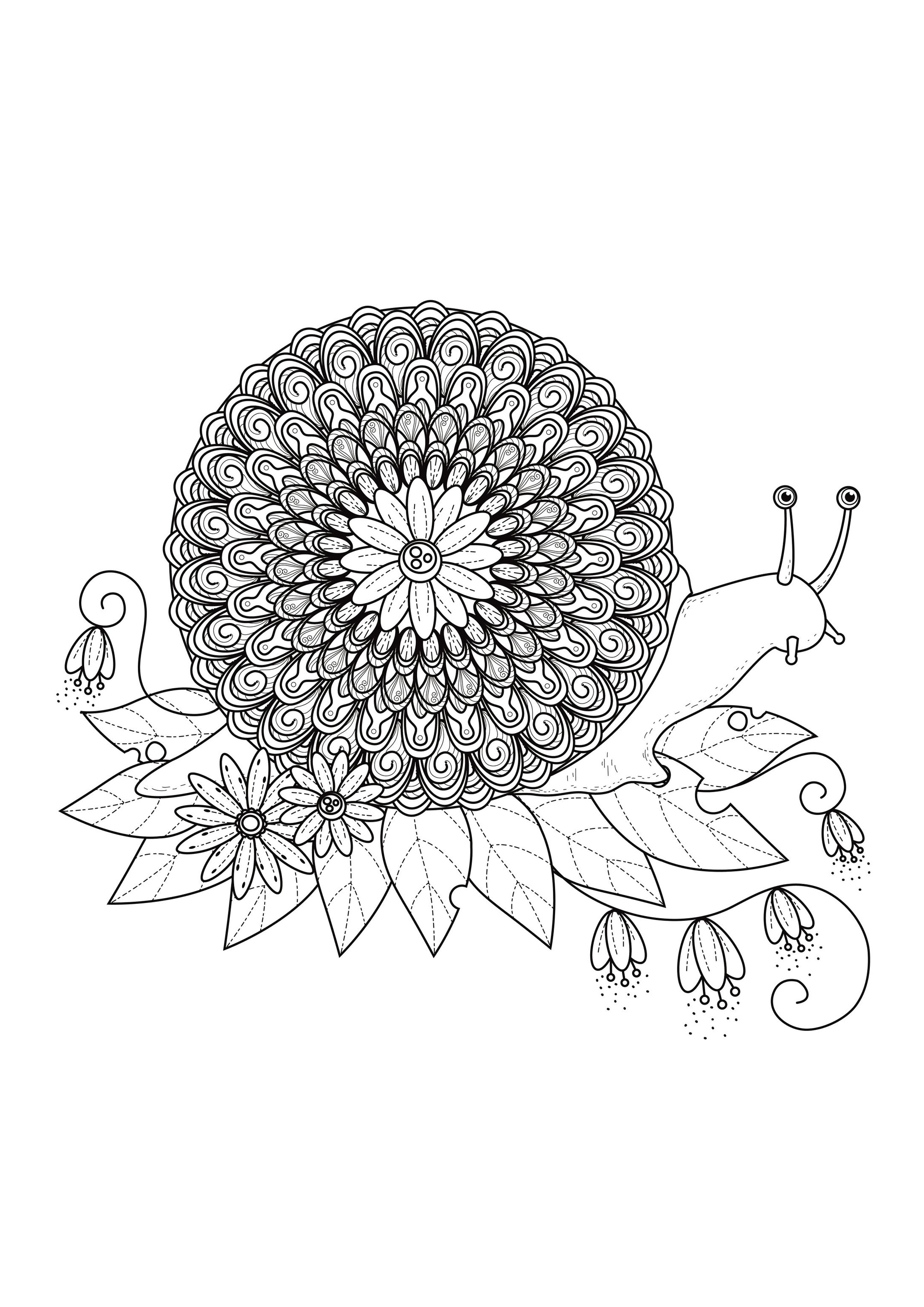 Snail mandala