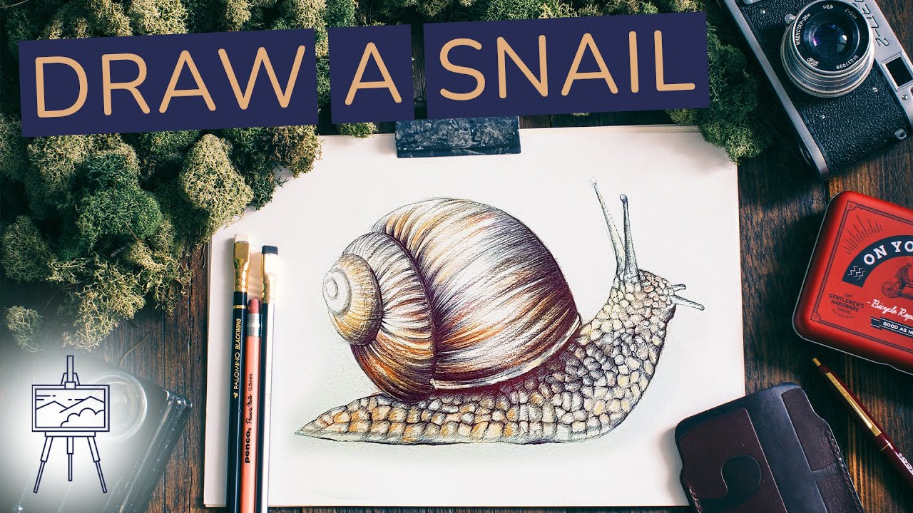 How to draw a snail