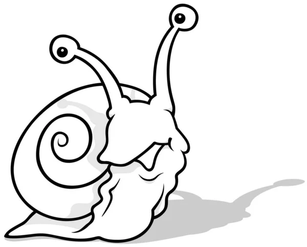 Drawing funny snail eyes long stalks cartoon illustration isolated white stock vector by dero