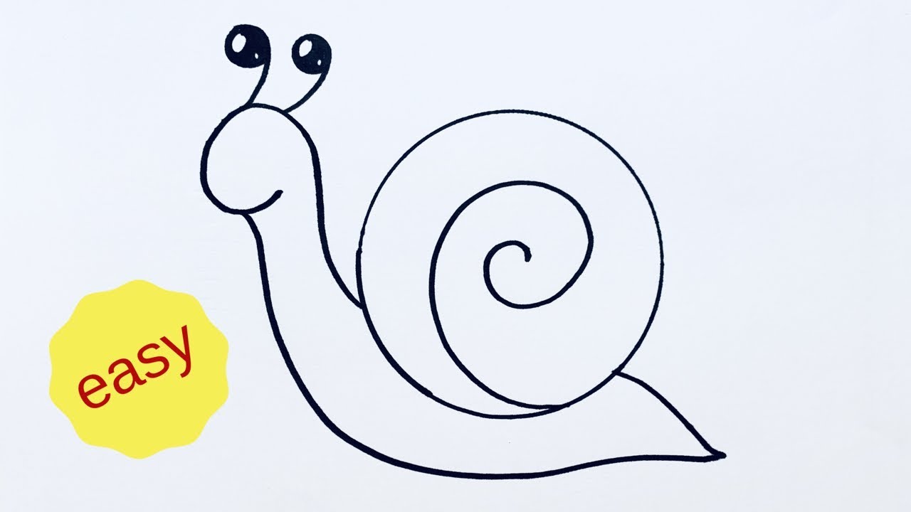 Beginners how to draw a cartoon snail