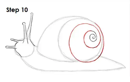 How to draw a snail