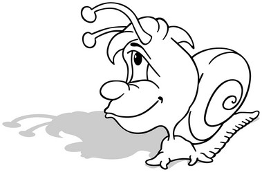 Outline drawing snail vector images over