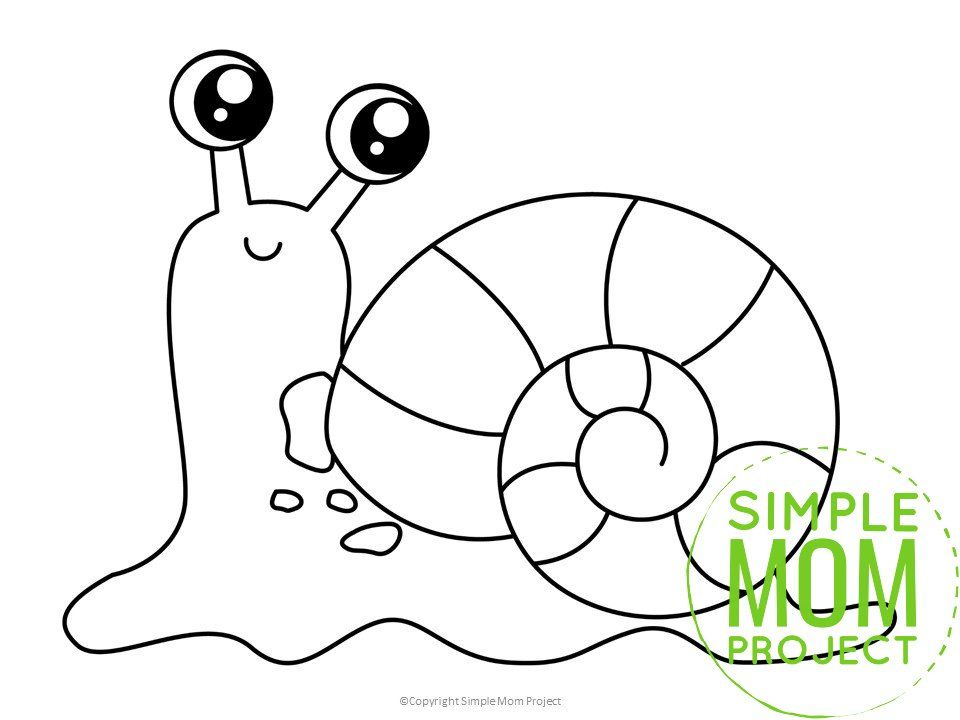 Free printable snail template insect crafts bug crafts insect coloring pages