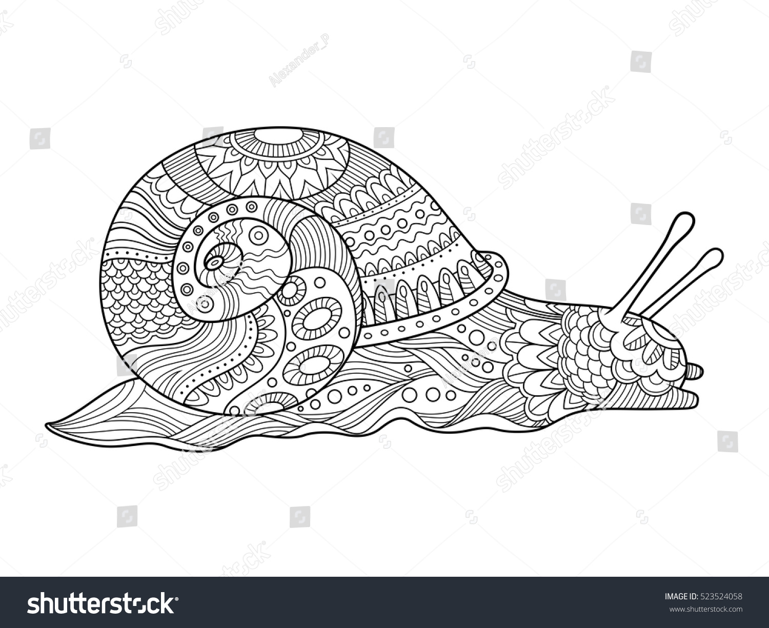 Snail coloring book adults vector illustration stock vector royalty free