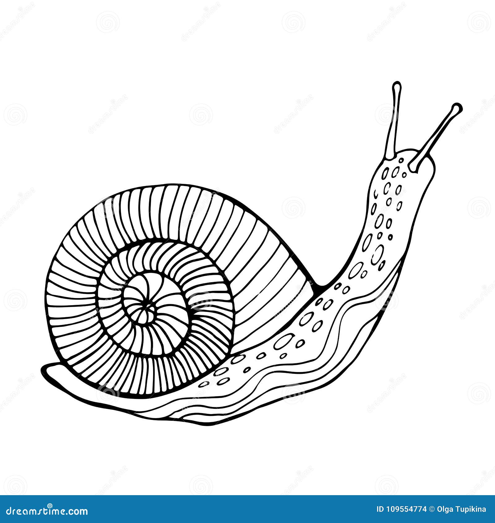 Snail coloring page for children and adults stock vector