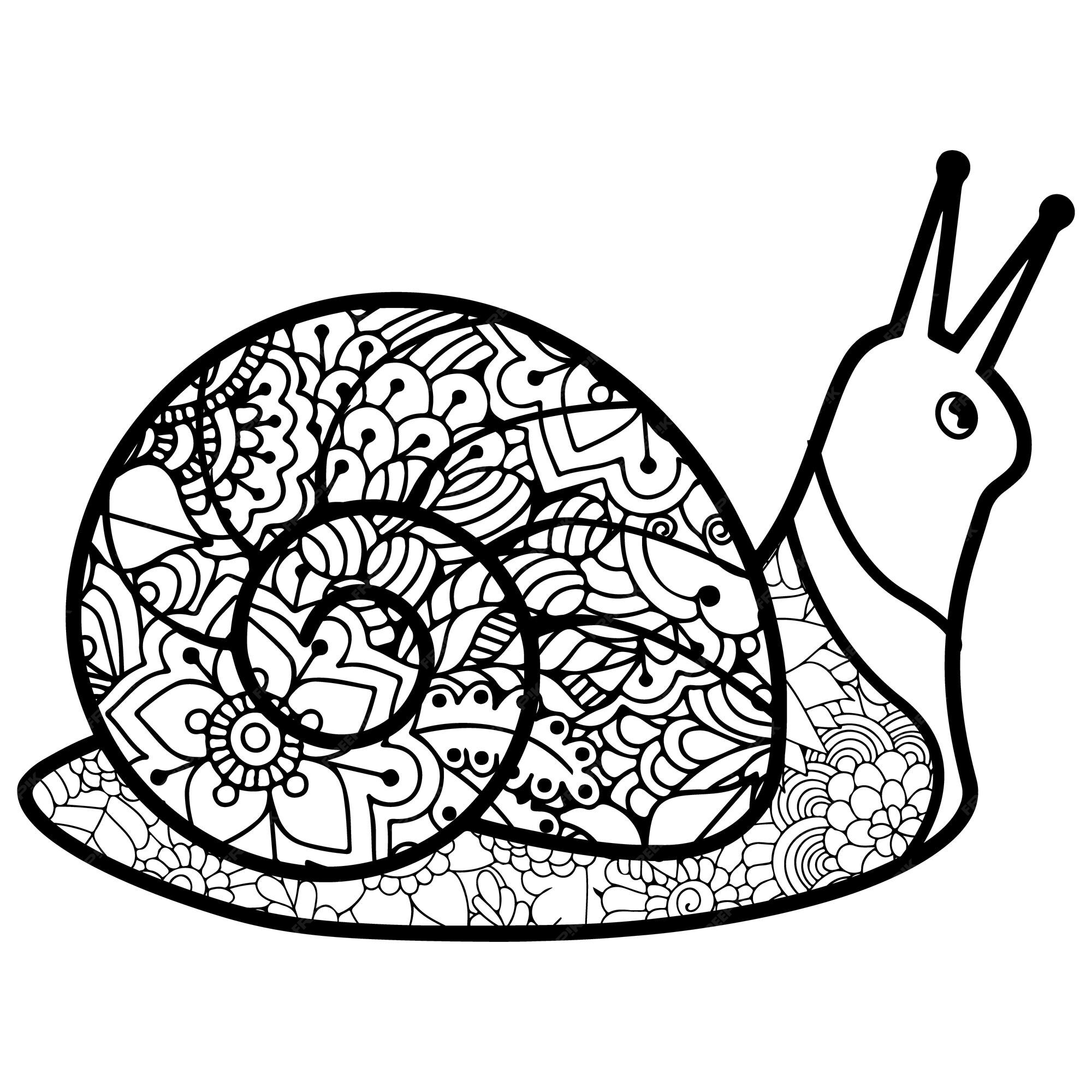 Premium vector hand draw snail mandala coloring page
