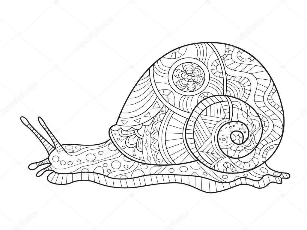 Snail coloring book for adults vector stock vector by alexanderpokusay