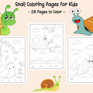 Snail coloring page