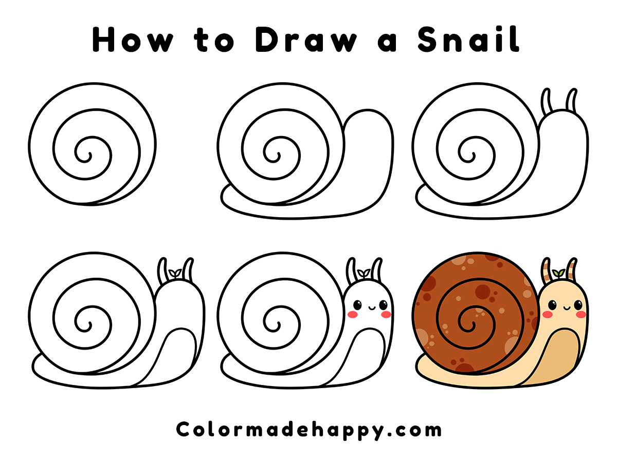 How to draw a snail