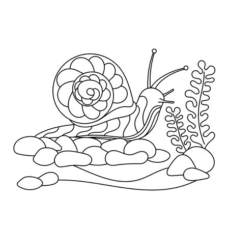 Snail coloring pages stock photos and images