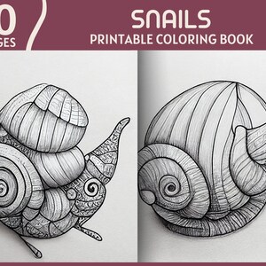 Snail coloring page