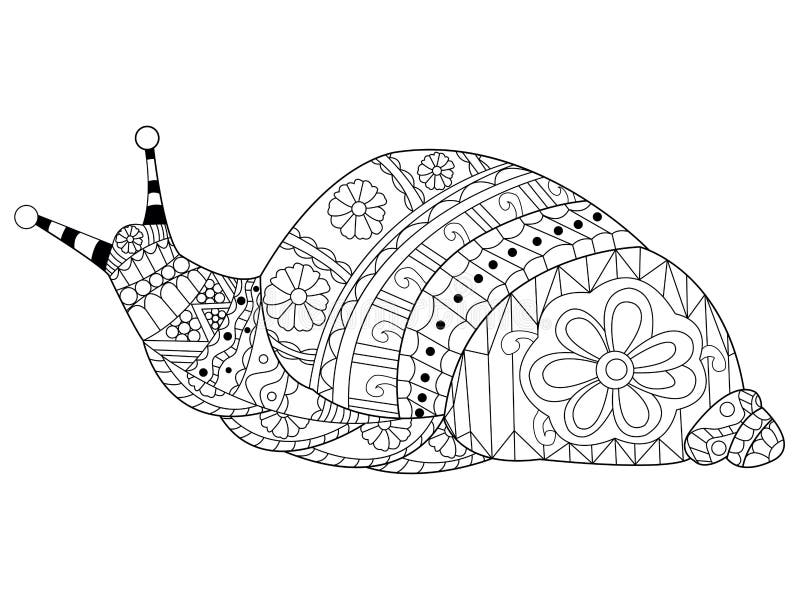 Snail coloring vector for adults stock vector