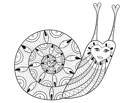 Snail coloring pages stock photos and images
