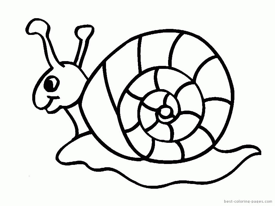 Free snail pictures for kids download free snail pictures for kids png images free cliparts on clipart library