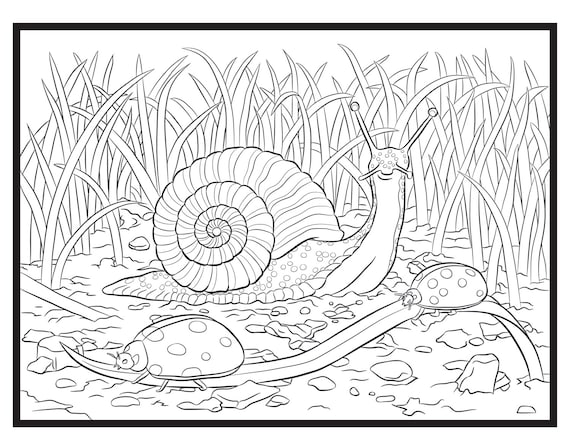 Snail and lady single coloring page instant download