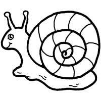 Snail coloring pages