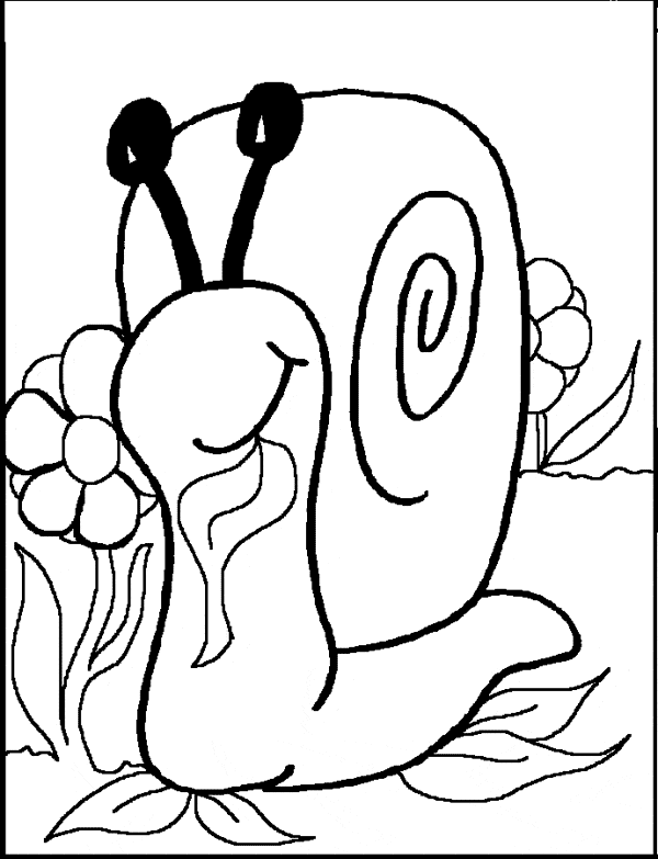 Snail coloring