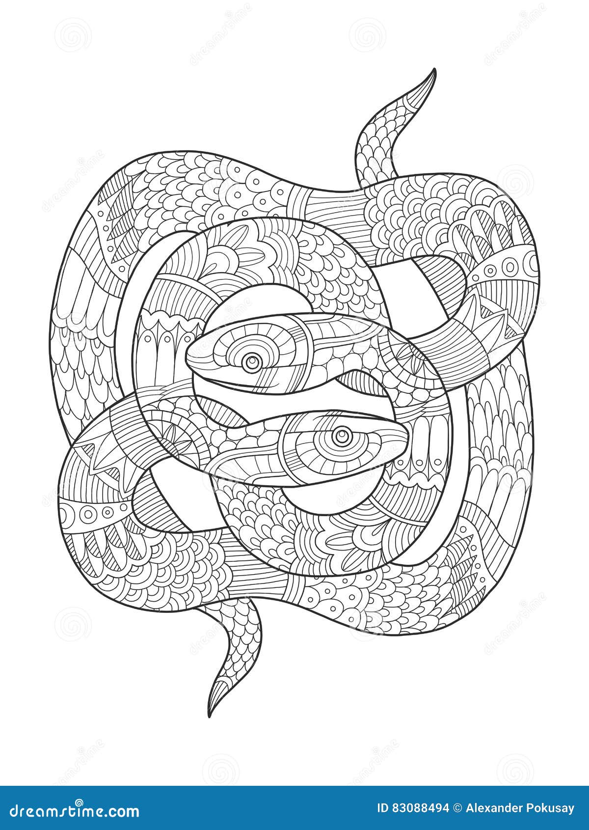 Snake coloring book for adults vector stock vector