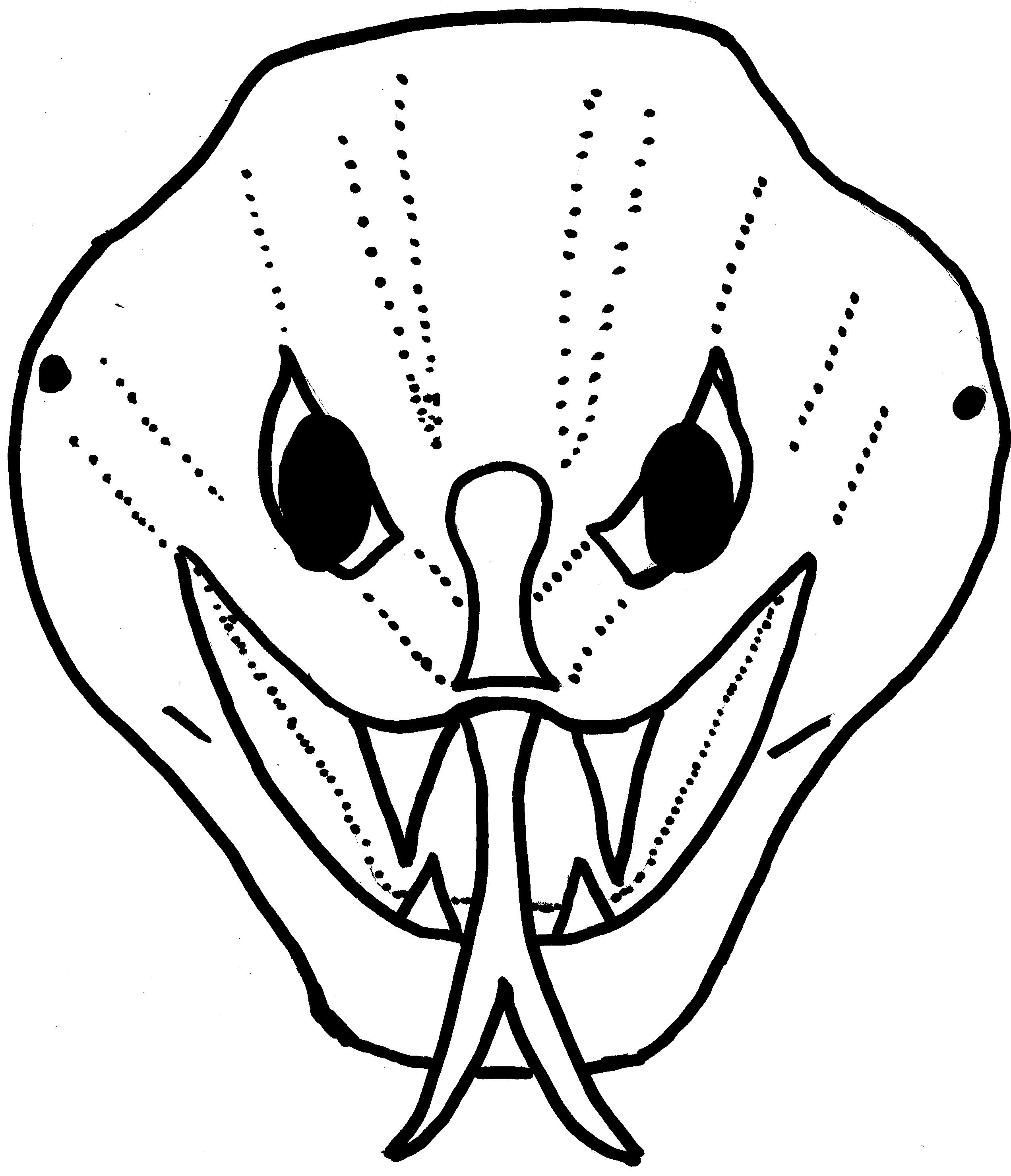 March break diy python masks the lunchbox season