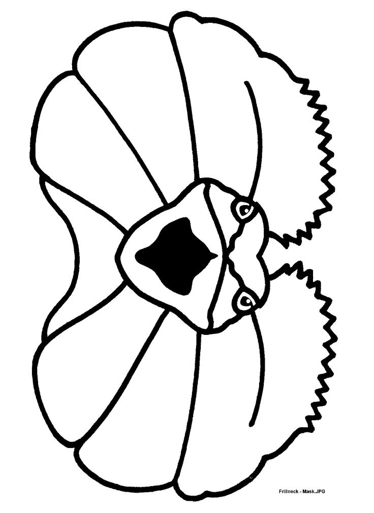 Maskfrillneckjpg ã pixels stralian animals snake coloring pages lizard