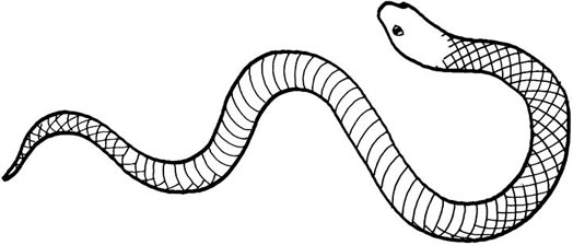 Free snake colouring pages for kids to download