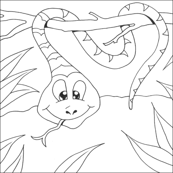 Snake colouring picture