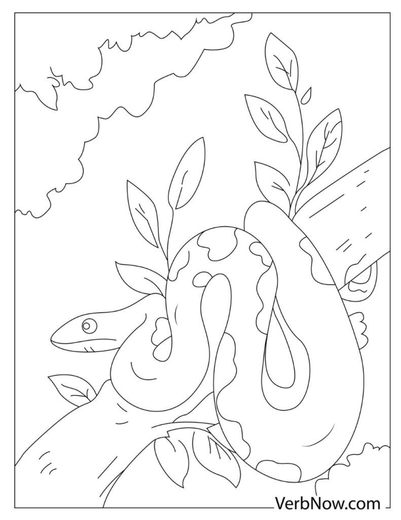 Free snake coloring pages for download printable pdf