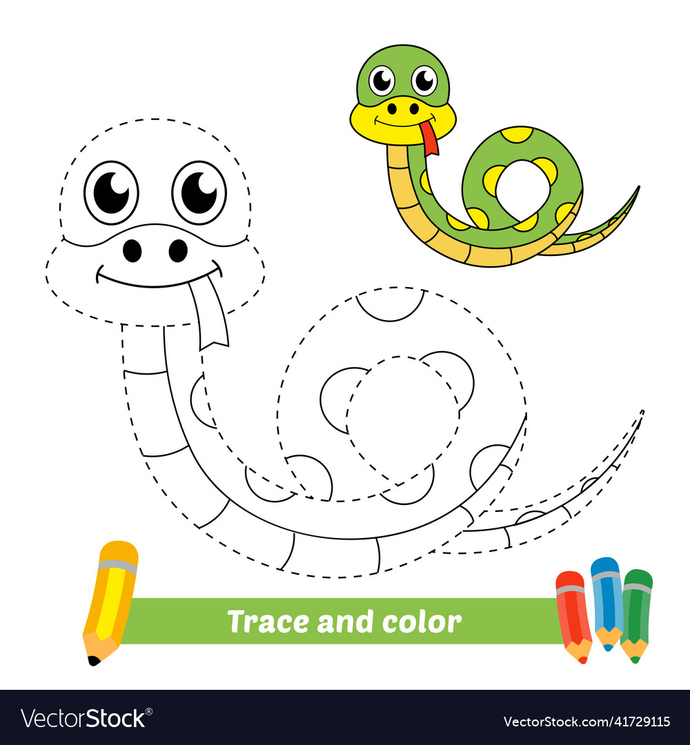 Trace and color for kids snake royalty free vector image
