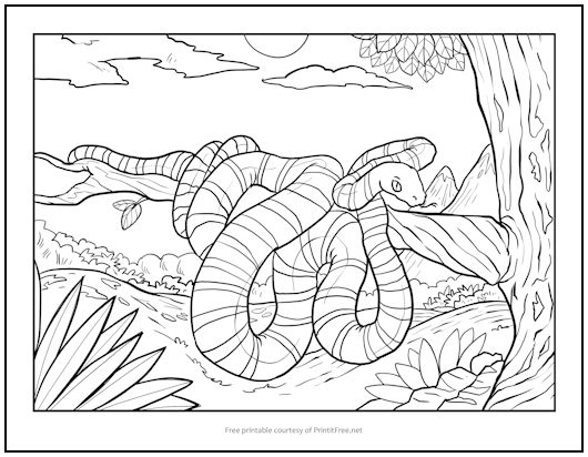 Snake in tree coloring page print it free
