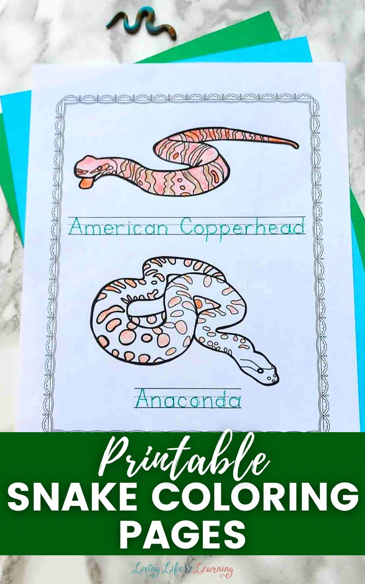 Printable snake coloring pages