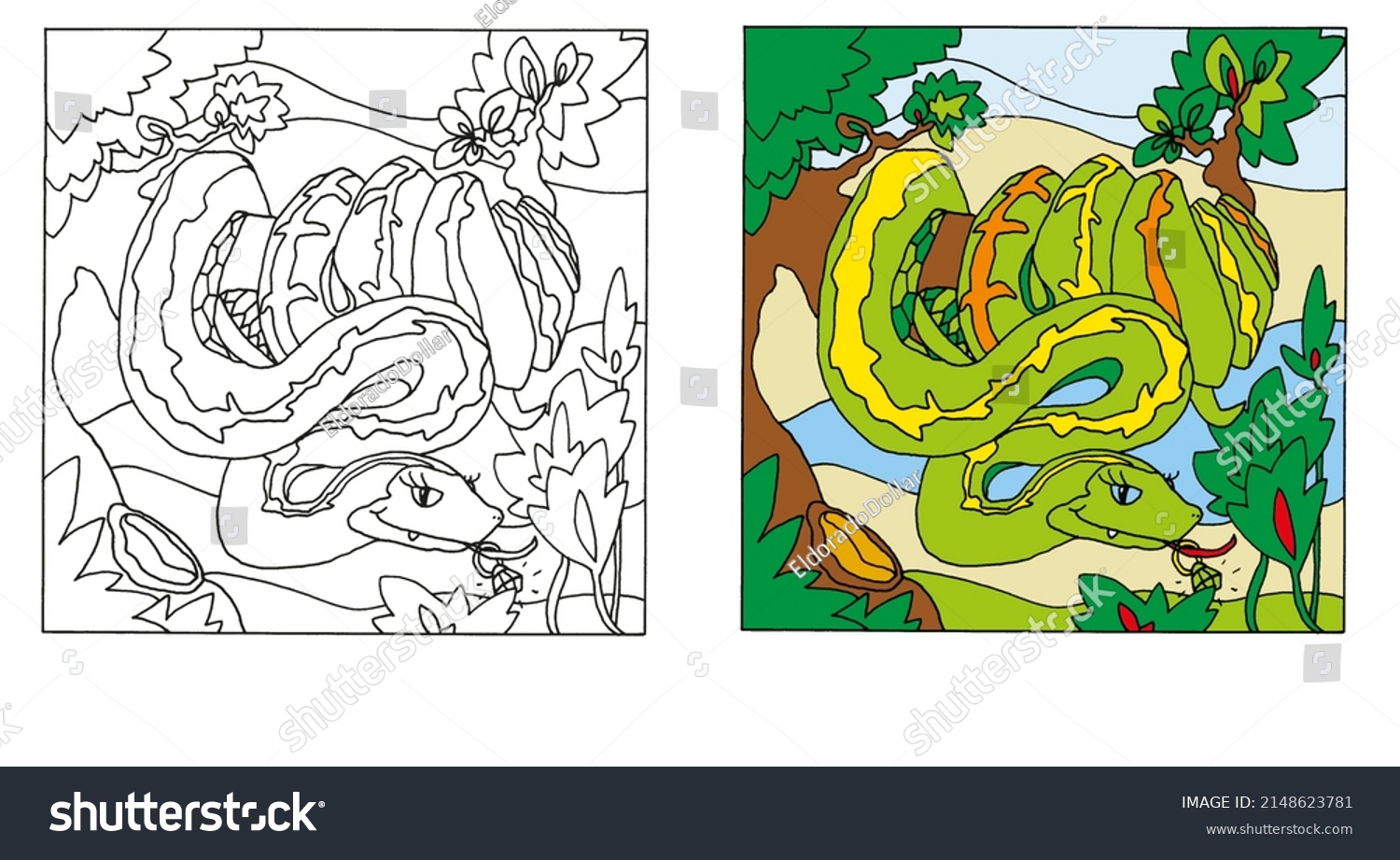 Snake coloring book images stock photos d objects vectors