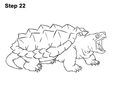 How to draw an alligator snapping turtle
