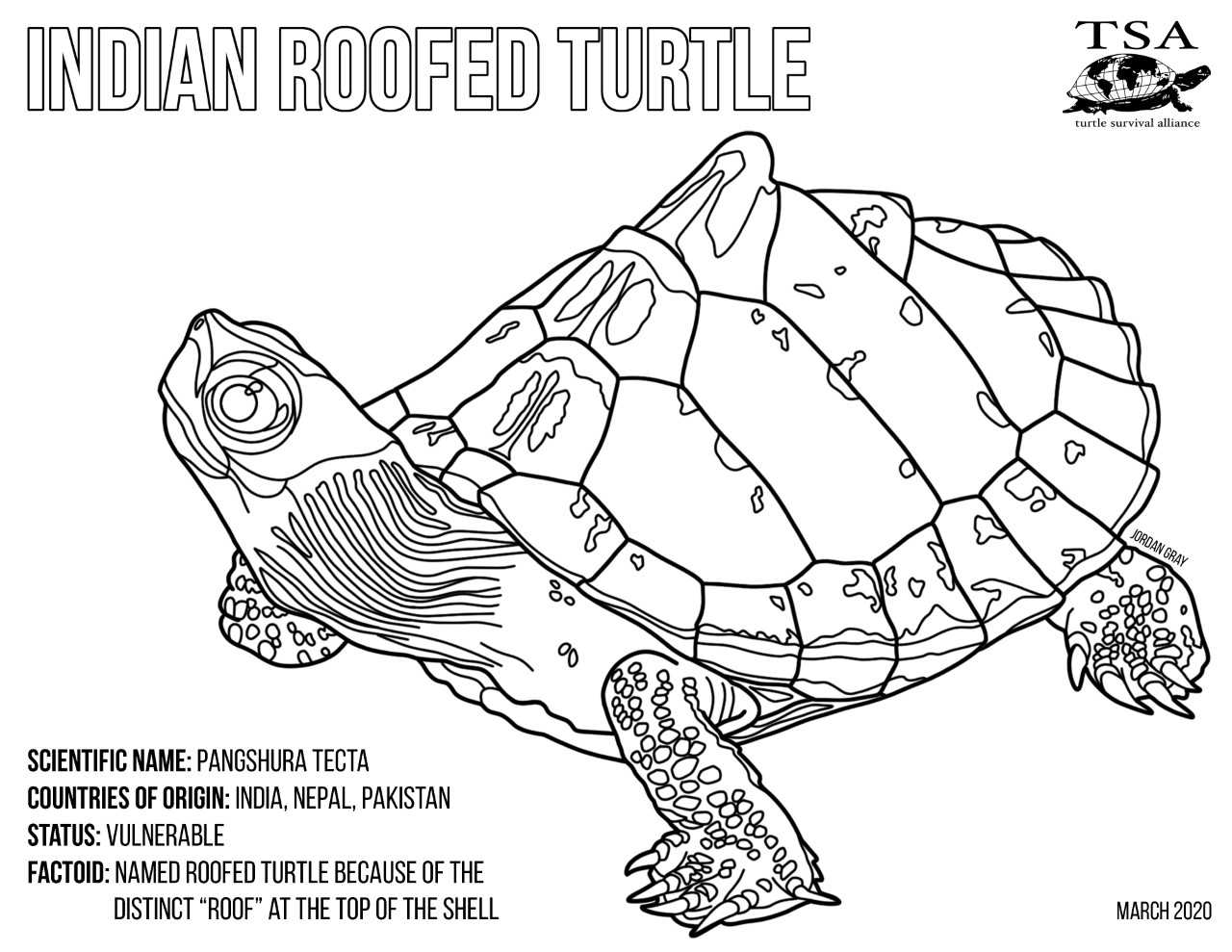 Tsa coloring page art contest