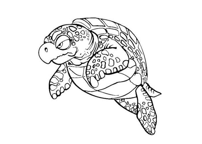 Turtles coloring pages