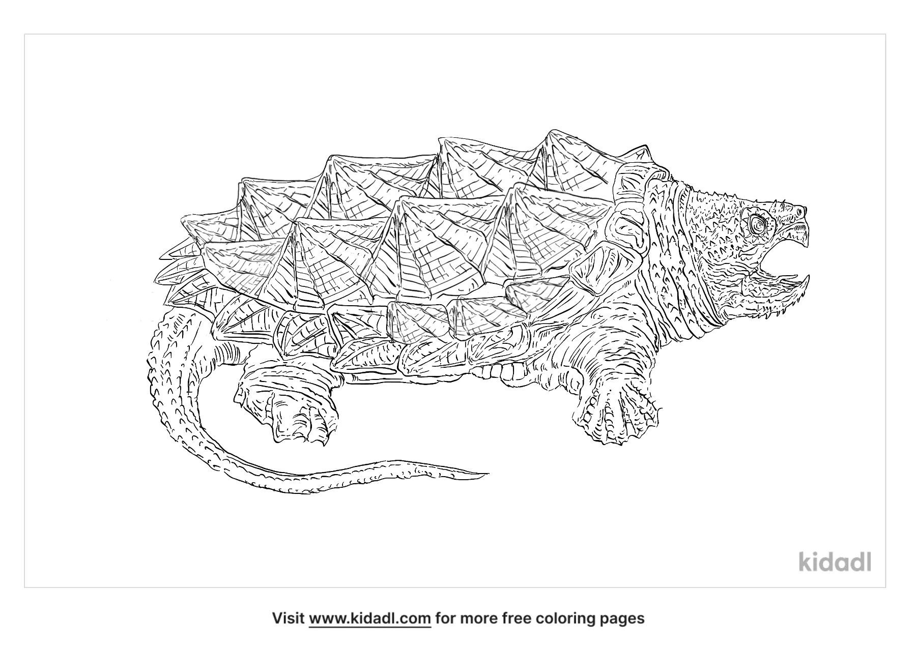 Free alligator snapping turtle coloring page coloring page printables