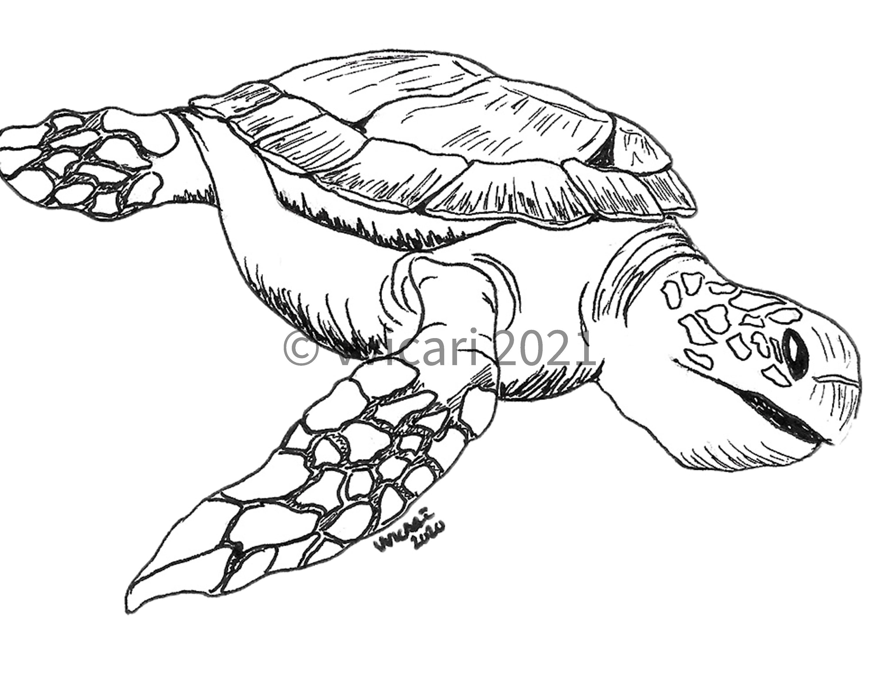 Printable animal art print snapping turtle black and white illustration coloring page instant download