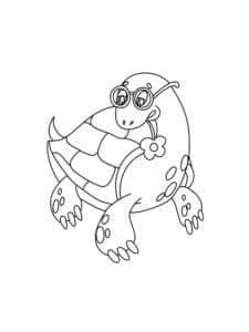 Turtle coloring pages âï free coloring pages