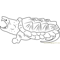 Snapping turtle coloring page for kids