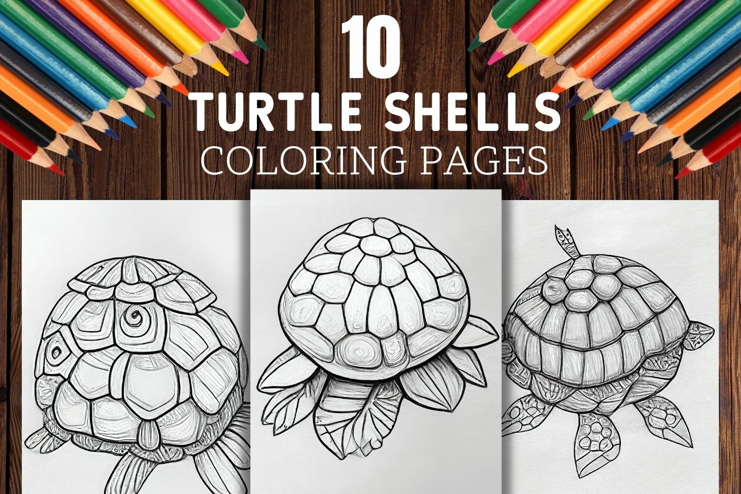 Turtle shells coloring pages