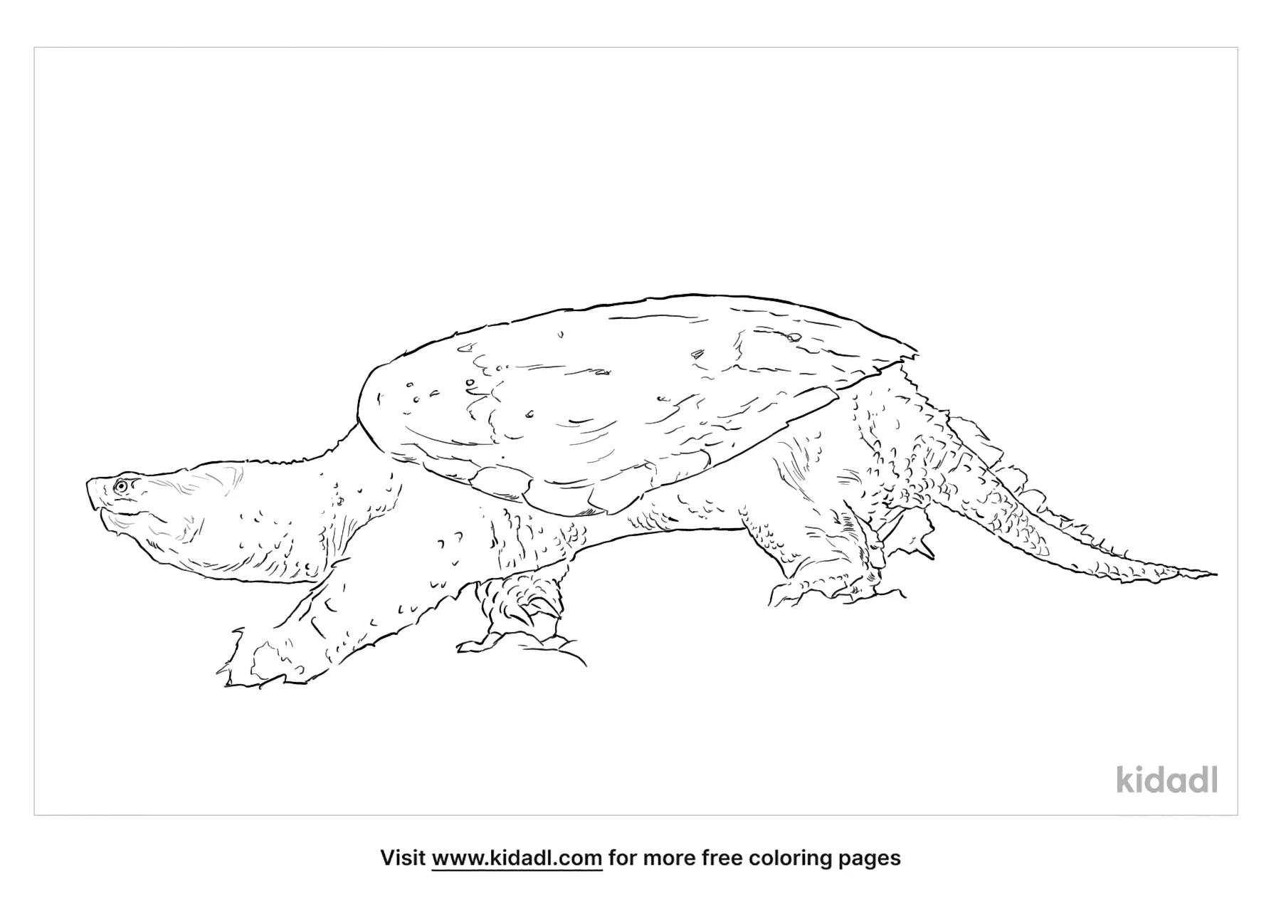 Free mon snapping turtle coloring page coloring page printables