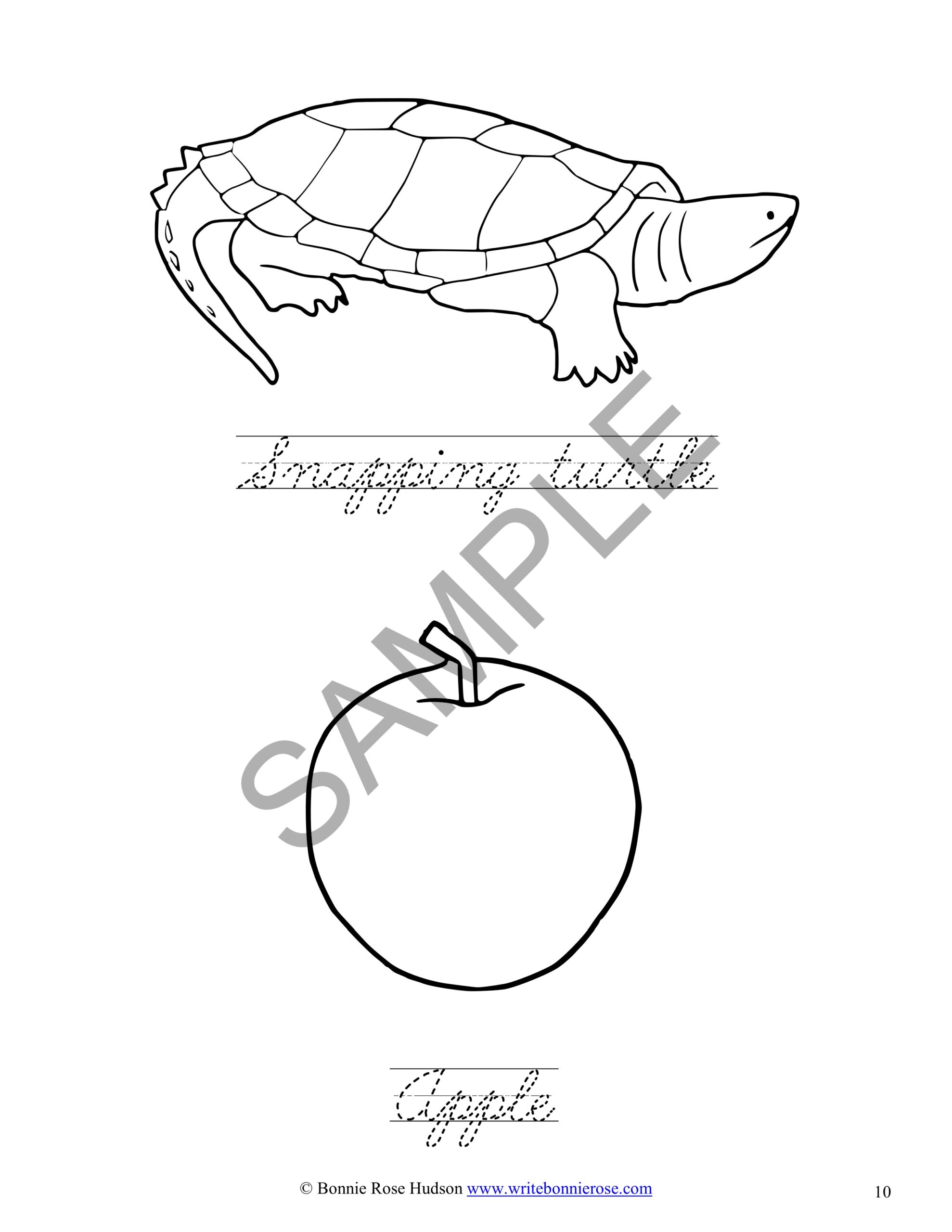 Exploring the united states coloring book with cursive copywork volume made by teachers