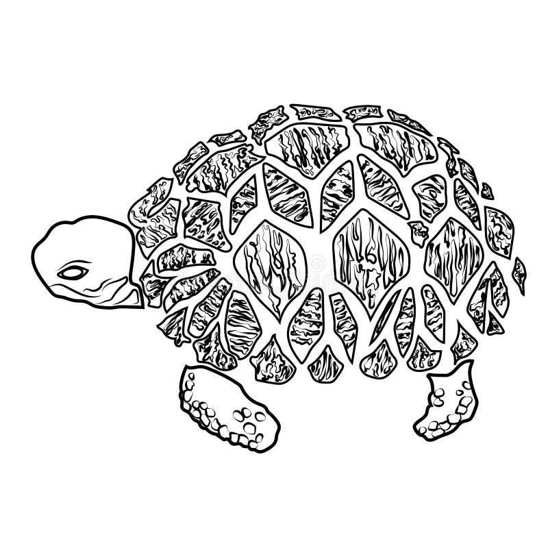 Snapping turtle stock illustrations â snapping turtle stock illustrations vectors clipart